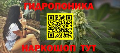 стафф Краснодар