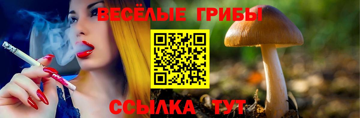 магазин  наркотиков  Вход с VPN  Котельники  Псилоцибиновые грибы мухоморы 